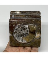 494g, 2.8&quot; x 2.8&quot; x 2&quot; Fossils Orthoceras Ammonite Business Card Holder,... - £11.01 GBP