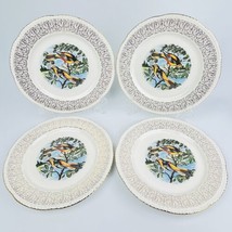 Homer Laughlin Baltimore Oriole Bird 10” Dinner Plates 4 ct Gilded Filigree Edge - £44.87 GBP