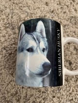 Vintage 1994 Siberian Husky Large Photo and Facts Coffee Cup Mug Excellent - £6.73 GBP