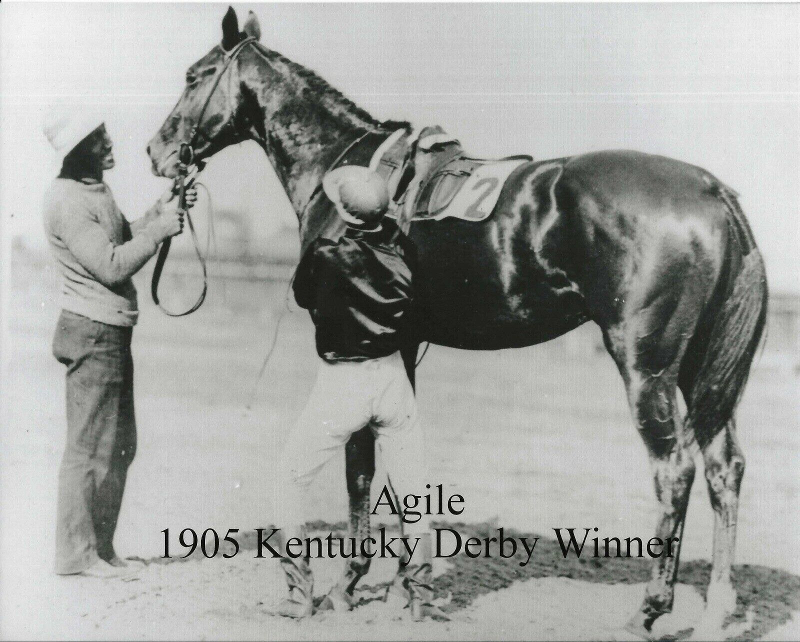 Primary image for 1905 - AGILE after winning the Kentucky Derby - 10" x 8"