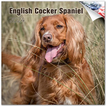 English Cocker Spaniel Wall Calendar 2024 Animal Dog Pet Lover Gift - £19.77 GBP