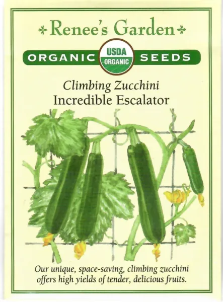 Zucchini Incredible Escalator Organic Vegetable Seeds Renee&#39;S 12/24 Fres... - £10.71 GBP