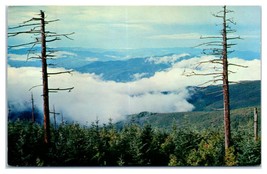 Clingmans Dome Great Smoky Mountains National Park Unused Postcard - £37.17 GBP