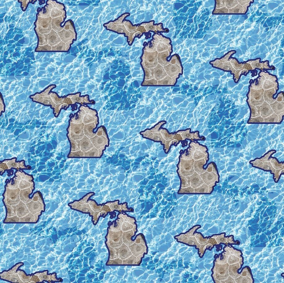 Cotton Michigan Stone Map Water Petoskey Stones Fabric Print by the Yard... - $13.95