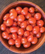 Burpee Napa Grape Tomato Seeds 30 seeds - £12.62 GBP