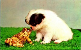 Adorable Puppy And Frog &quot;Says You&quot; UNP Chrome Postcard E4 - £5.02 GBP