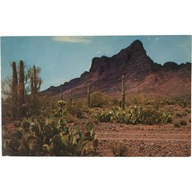 Vintage Postcard, Picacho Peak, Phoenix, Tucson, Arizona - £7.82 GBP