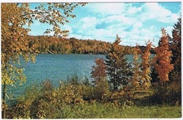 Ontario Postcard Autumn Leaves Trees By Lake - £2.36 GBP