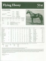 1925 - FLYING EBONY - Kentucky Derby Race Chart, Pedigree &amp; Career Highlights - £15.69 GBP