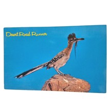 Postcard The Desert Road Runner Desert Animal Chrome Postcard - $6.92