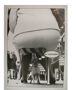 Ay Carumba Poster Chihuahua Chi Hua Hua Under Lady - $44.99