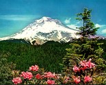 Mount Hood and Rhododendrons Landscape Washington WA UNP Chrome Postcard - $3.91