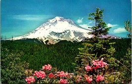 Mount Hood and Rhododendrons Landscape Washington WA UNP Chrome Postcard - £3.08 GBP