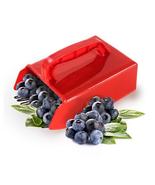 Berry Picker Plastic Blueberry Picking Tool With Metallic Comb For Garden - £22.31 GBP