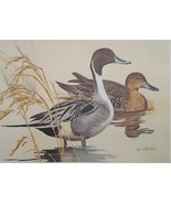 Pintails by Ken Carlson 1982 Texas Duck Stamp Print Artist Signed with m... - £95.09 GBP