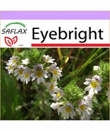 SAFLAX  - Eyebright - Euphrasia - 200 seeds  - $4.55