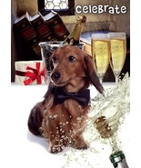 Celebrate - Congratulations - Achievement Greeting Card - 00797 - $2.79