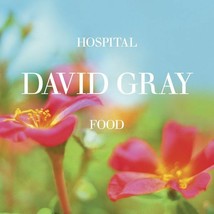 Hospital Food - David Gray- CD- DISC ONLY!!!!! - $36.14 MXN