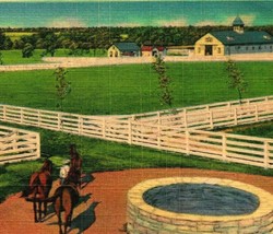 Blue Grass Stock Farm In Old Kentucky Horses Well UNP Vtg Linen Postcard Q21 - £3.07 GBP