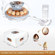 Item image 9