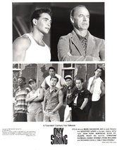 Mark Dacascos Only The Strong Original 8x10 glossy Photo #E5639 - £7.69 GBP