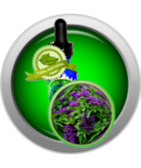 Heliotrope Absolute Essential Oil (Heliotropium Arborescens) - $6.00+