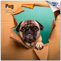 PUG Wall Calendar 2024  Animal DOG Lover Gift - £19.75 GBP