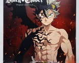 Black Clover Vinyl Record Soundtrack 2 LP Black Limited Edition Anime OST - £41.50 GBP