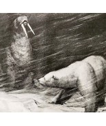 1930 Polar Bear Versus Walrus Fight Little Aivik St Nicholas Magazine Ar... - $29.99