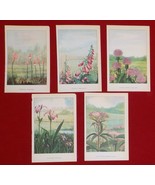 Lot of 5 PURPLE PINK Flower Book Plate Prints &quot;Wild Flower&quot;,LA Simonsen,... - £8.93 GBP