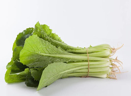 ArfanJaya 200 Pak Choi Seeds Green Stem Chinese Cabbage Bok choy Four Season veg - £6.90 GBP