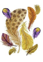 Custom and Unique Fancy Feather Collection[Fancy Feathers Collage] Embroidered I - £19.58 GBP