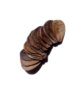 100Pcs Indian Almond Leaves Catappa Ketapang for Fish, Shrimp, Aquarium - $14.95
