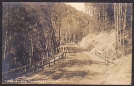Vintage Automobile on the Mohawk Trail Road Pre-1920 RPPC Chas. R. Canedy - £9.77 GBP