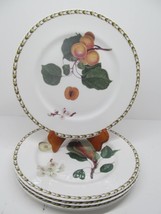 Queens Horticultural Society Set Of 5 Hookers Fruit 8 1/2&quot; Salad Plates VGC - £23.37 GBP
