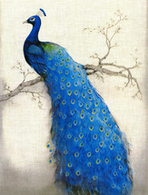 Giclee Oil Painting Decor Home decor blue peacock HD - £6.86 GBP+
