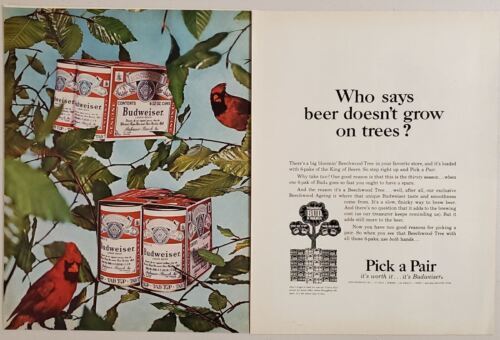 Primary image for 1965 Print Ad Budweiser Beer 6-Packs of Cans Hanging in Tree Cardinal & Bud