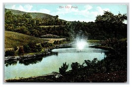 Joseph Smith Birthplace Lily Pond Sharon Vermont VT UNP DB Postcard V12 - £3.06 GBP