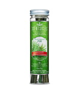 Pack ScentSicles White Winter Fir Fresh Cut Christmas Tree Scented Ornam... - $236.30 MXN