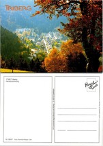 Germany Baden-Württemberg Triberg im Schwarzwald Autumn Fall Vintage Postcard - £7.49 GBP