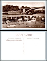 RPPC PHOTO Postcard - UK, Swans Upon The Silver Tweed C27 - $3.95
