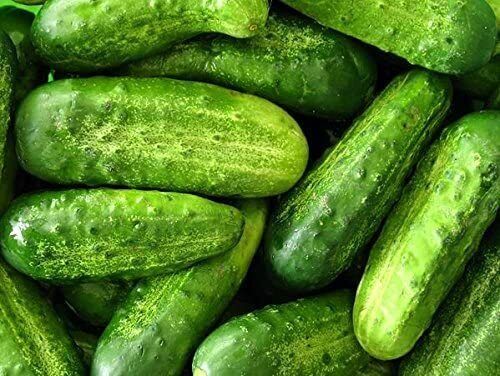 50 Wisconsin SMR58 Pickling Cucumber Seeds | Organic Vegetable Cuke Bush... - $4.00