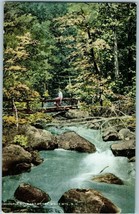 Chocorua River and Foot Bridge White Mountains New Hampshire POstcard - £4.18 GBP