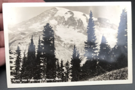 1930-1950 RPPC Wild Flowers &amp; Mt Rainier WA Washington Real Photo Postcard EKC - £9.59 GBP
