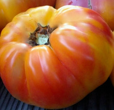 Big Rainbow Tomato Seeds 50+ Indeterminate Garden Vegetables Sauce - £7.63 GBP