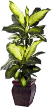 Green Nearly Natural Golden Dieffenbachia In Decorative Planter - £67.57 GBP