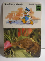 1978 Walt Disney&#39;s Fun &amp; Facts Flashcard #DFF10-7: Smallest Animals - $2.00