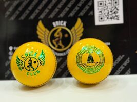 SNICK YELLOW  SOFT LEATHER Indoor Cricket Balls  -Box of 6 (Dyed Injected) - $29.99
