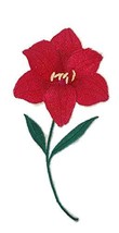 Custom and Unique (Bloom Amaryllis) A Inspirational Blooms Flower Embroidered Ir - £14.42 GBP