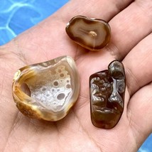 Agatized Tampa Bay Fossil Coral Tumbled Agate Gemstones Set of 3 - £18.88 GBP